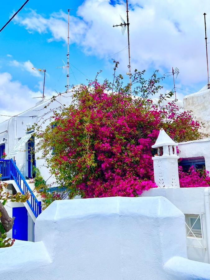 Provis Rentals Suite Next To The Mills In Mykonos Town Exterior foto